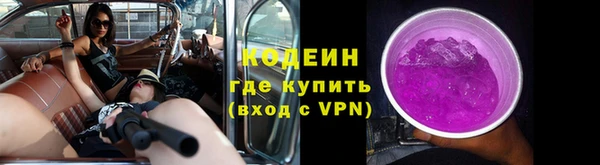 мяу мяу мука Белокуриха